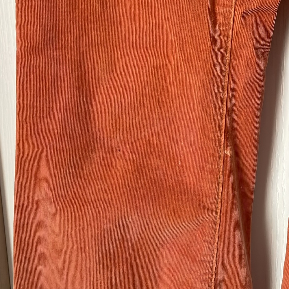 We The Free Rust/Orange Flare Corduroy Pants - Picture 12 of 16